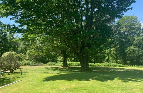 Waverly House | The Waverly Mansion