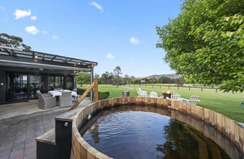 Broke Apartment | The Wellness Farm Broke