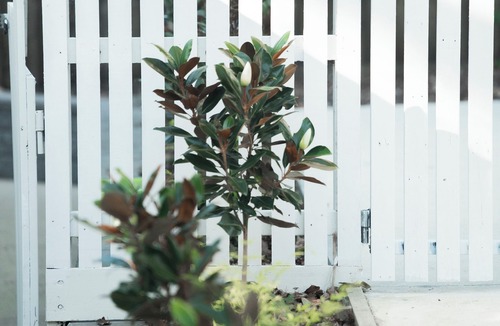 Metung House | The White House- Loft