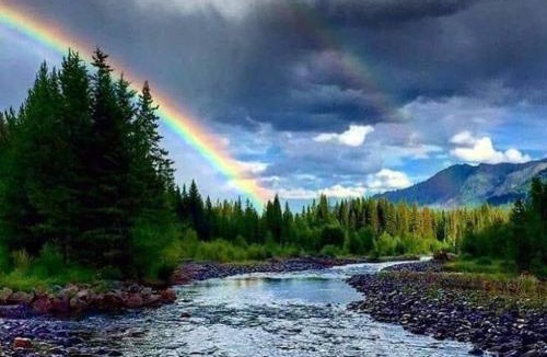 Darby Bed & Breakfast | The Wild Game Inn