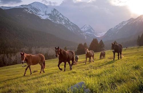 Darby Bed & Breakfast | The Wild Game Inn