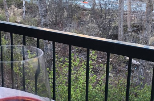 Bigfork Condo | The Wild Mile River Retreat