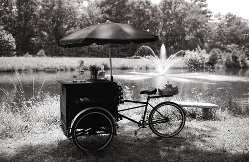 Willis Other | The Wildflower Ranch is where Dream Weddings come to life!