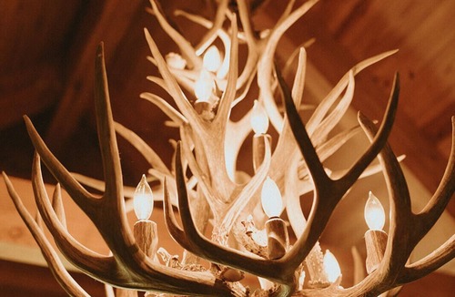 Willis Other | The Wildflower Ranch is where Dream Weddings come to life!