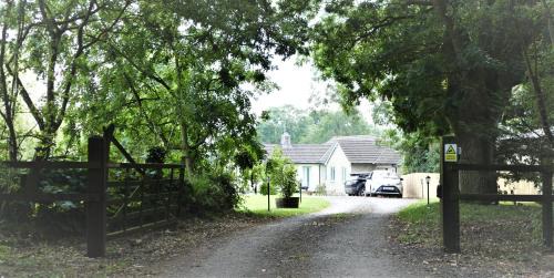 Wincanton House | The Willows