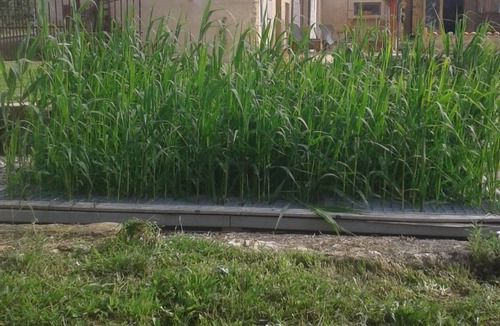 Semur-en-Brionnais Cottage | The winemaker's house