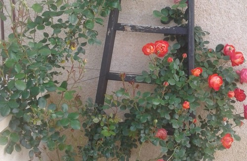 Semur-en-Brionnais Cottage | The winemaker's house