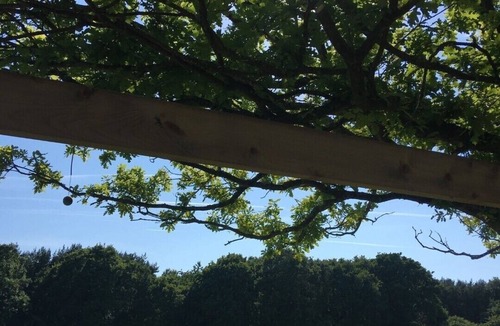 Upper Dicker Bed & Breakfast | THE WING AT BROADACRES