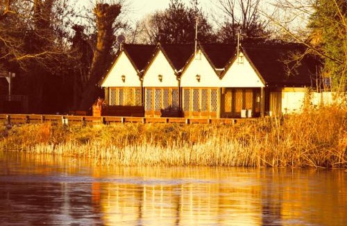 Lingfield Hotel | The Wiremill