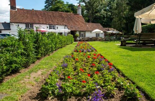 Guildford Hotel | The Withies Inn