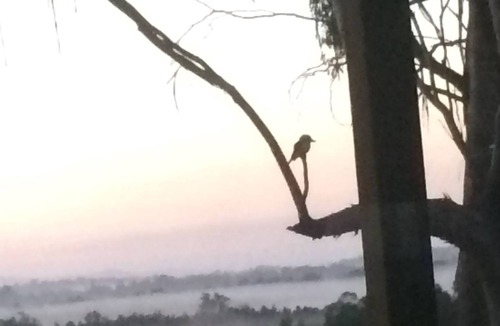 Pokolbin Apartment | The Woodcutter’s Shed Hunter Valley