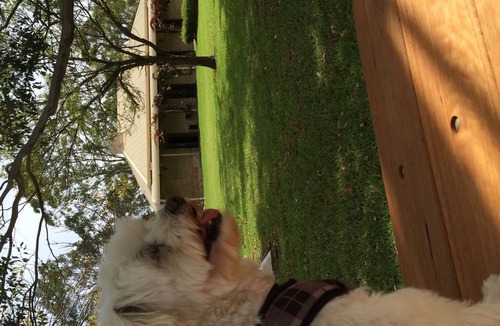 Pokolbin Apartment | The Woodcutter’s Shed Hunter Valley