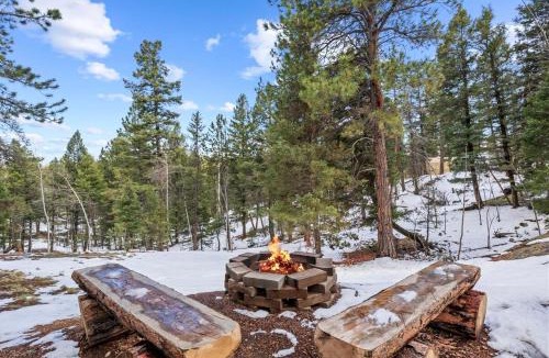 Woodland Park House | The Woodland Bear Cabin near National Forest
