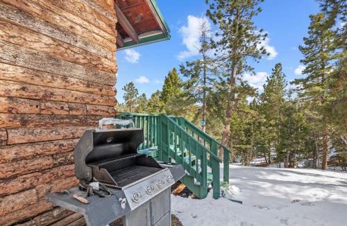Woodland Park House | The Woodland Bear Cabin near National Forest
