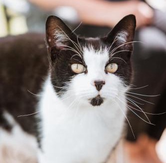 Ironbridge Bed & Breakfast | The Woodlands Bed and Breakfast Ironbridge