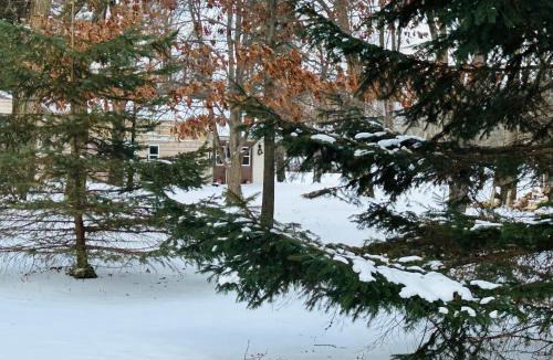 Fenton House | The Woods Edge Hideaway