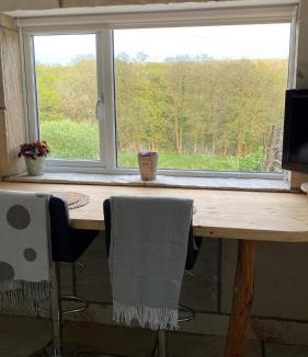 Mawr Apartment | The Wrens Nest