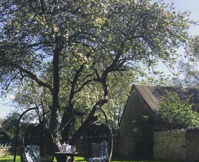 Shipton under Wychwood Hotel | The Wychwood Inn