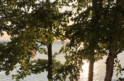 Northport House | The Yellow Cottage