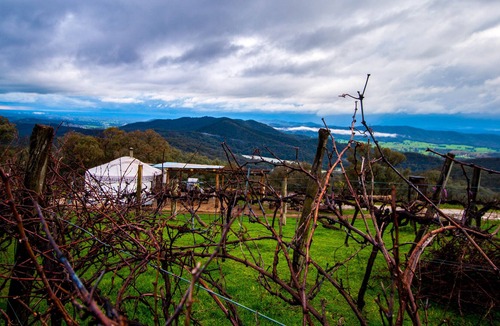 Myrrhee House | The Yurt Alpine Retreat - Red Yurt