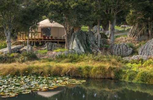 Ruatangata West Other | The Yurt Wai Rua