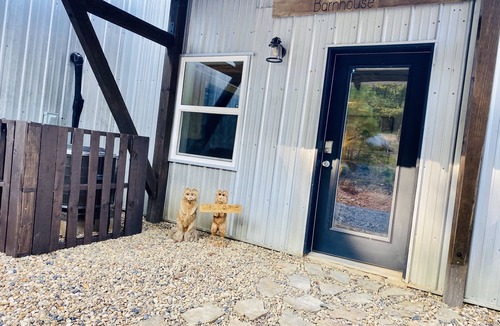 Mena Cabin | TheBarnhouse: Secluded Ride2Trails PetFriendly GameRoom MountainRetreat FirePit