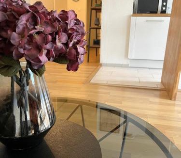 Longwy Apartment | TheSkyFall , cosy appartement, terrasse & parking