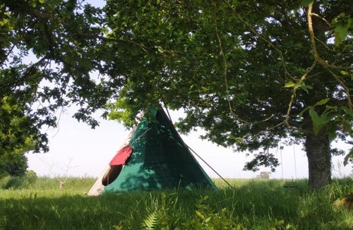 Bazouges-la-Perouse Other | Thipi Khola