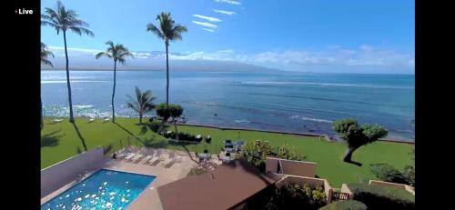 Maalaea Apartment | This place is different! Award winning! Oceanfront, View View!