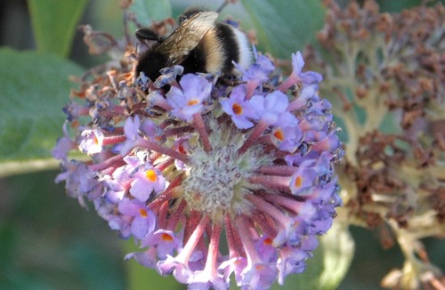 Thisted Bed & Breakfast | Thisted Øst Bed & no Breakfast