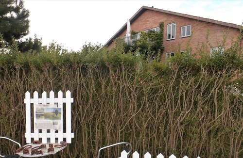 Thisted Bed & Breakfast | Thisted Øst Bed & no Breakfast