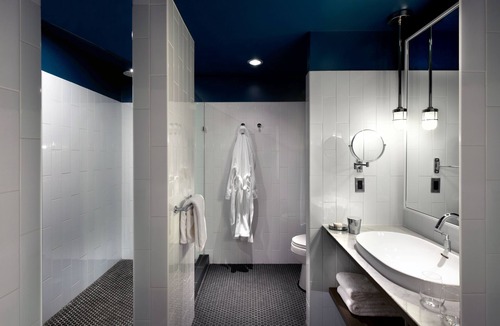 Rush and Division Hotel | Thompson Chicago, by Hyatt