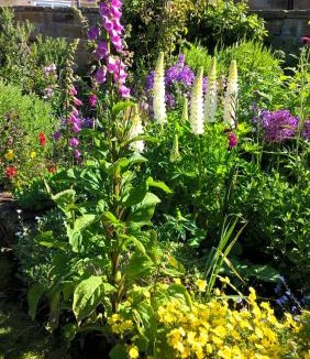 Fylingthorpe Bed & Breakfast | Thorpe Green House Vegetarian Bed & Breakfast