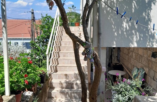 Prozurska Luka Apartment | Three bedroom apartment near beach Prožurska Luka (Mljet) (A-4939-a)