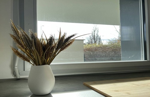 Blagnac Apartment | Three-bedroom apartment in Blagnac
