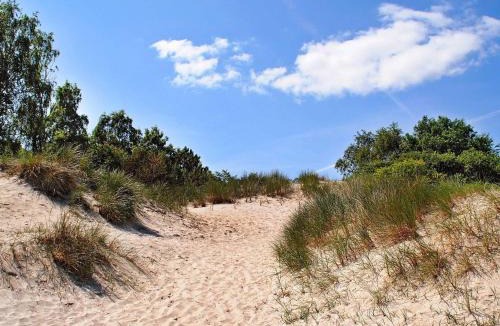 Hvidbjerg Strand House | Three-Bedroom Holiday home in Børkop 9
