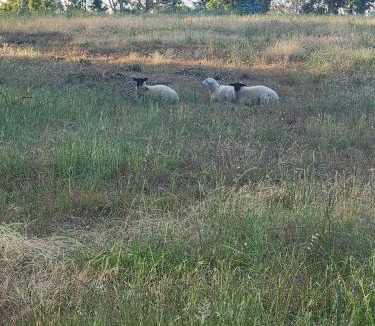 Oakbank House | Three Brothers Orchard