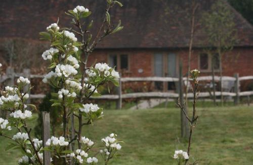 Cranbrook Bed & Breakfast | Three Chimneys Farm Accommodation