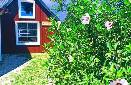 Plaski Apartment | Three Little Birds Suite