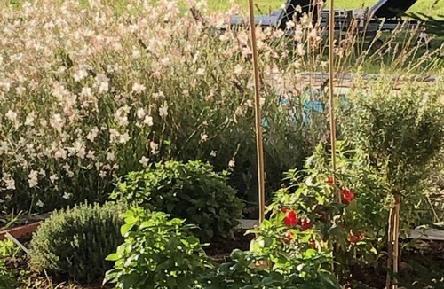 Saint-Pey-de-Castets House | three room apartment, two bedrooms, 1 bathroom.