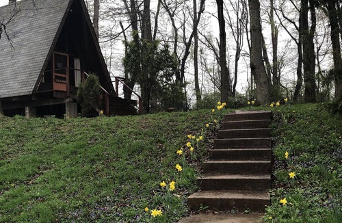 Airville Cabin | THREE SEPARATE CABINS on 128 Acre Forest Park and Nature Reserve