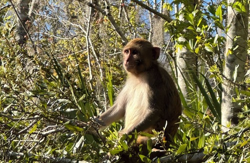 Candler House | Thrive By Nature- Peaceful 2 Bedroom & 2 Bath Ocala