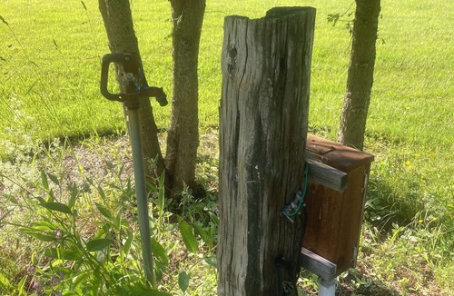 Orleans RV Rental | Throw your tent anywhere!