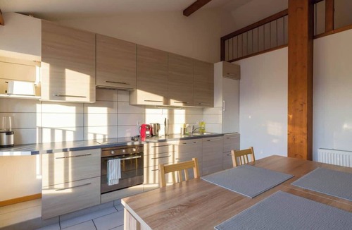 Thun Apartment | Thun Center Apartment Close to Lake and Shops