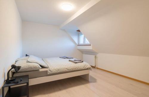 Thun Apartment | Thun Center Apartment Close to Lake and Shops
