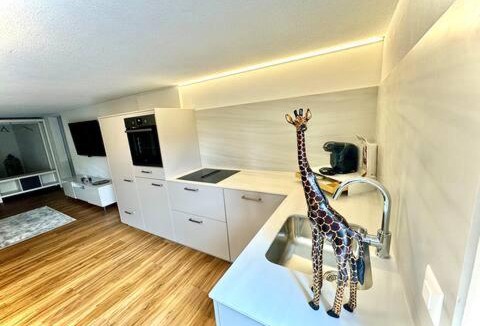 Durrenast Apartment | Thunersee Retreat