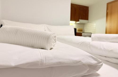 Einigen Apartment | Thunersee View Studio