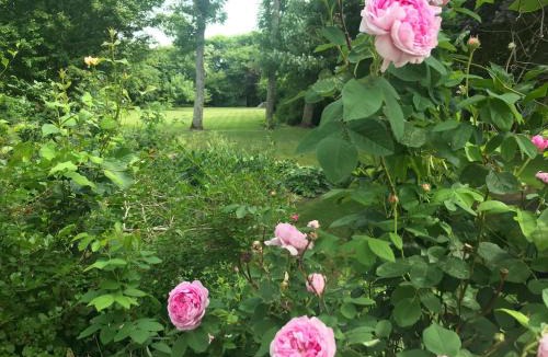 Hvidbjerg Bed & Breakfast | Thyholm B&B