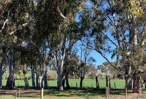 Upper Wakefield House | Tickles Cottage in a beautiful Rural Setting