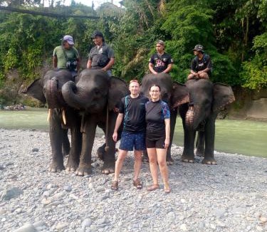 Bukit Lawang House | Tiga dara guest house & jungle trekking bukit Lawang